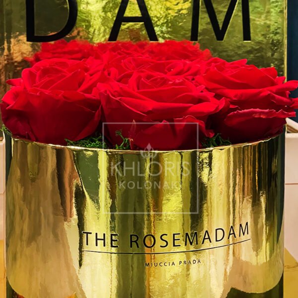 eternal red roses gold box prada rosemadam